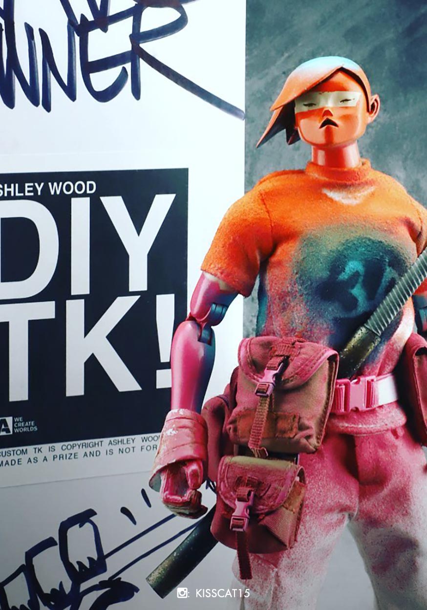 DIY TK (Hand Painted by Ashley Wood)